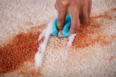 Cleaning tomato stain on carpet